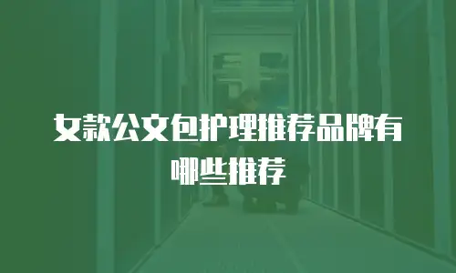 女款公文包护理推荐品牌有哪些推荐