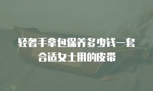 轻奢手拿包保养多少钱一套合适女士用的皮带