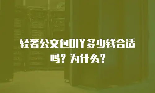 轻奢公文包DIY多少钱合适吗？为什么？