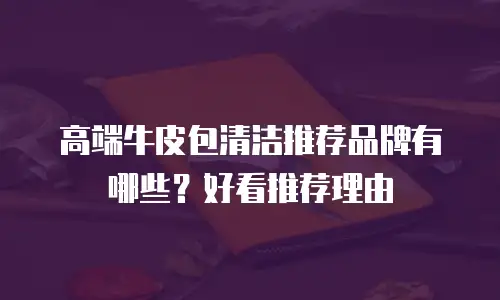 高端牛皮包清洁推荐品牌有哪些？好看推荐理由