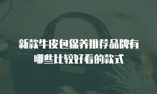 新款牛皮包保养推荐品牌有哪些比较好看的款式