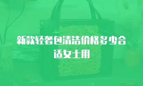 新款轻奢包清洁价格多少合适女士用