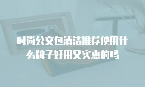 时尚公文包清洁推荐使用什么牌子好用又实惠的吗