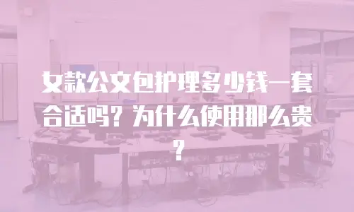 女款公文包护理多少钱一套合适吗？为什么使用那么贵？