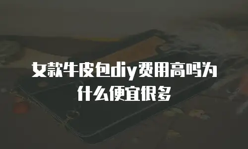 女款牛皮包diy费用高吗为什么便宜很多