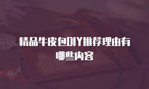 精品牛皮包DIY推荐理由有哪些内容