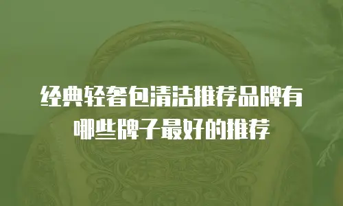 经典轻奢包清洁推荐品牌有哪些牌子最好的推荐