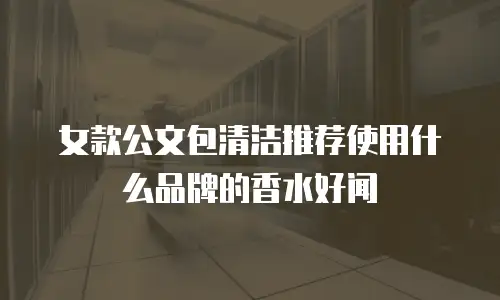女款公文包清洁推荐使用什么品牌的香水好闻