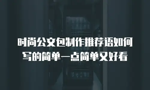 时尚公文包制作推荐语如何写的简单一点简单又好看