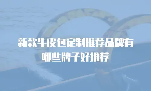 新款牛皮包定制推荐品牌有哪些牌子好推荐