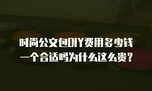 时尚公文包DIY费用多少钱一个合适吗为什么这么贵？