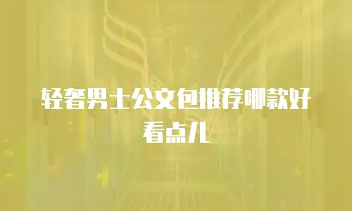 轻奢男士公文包推荐哪款好看点儿