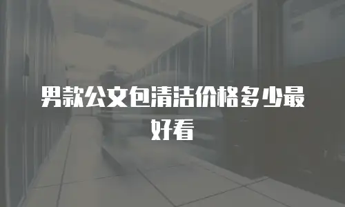 男款公文包清洁价格多少最好看