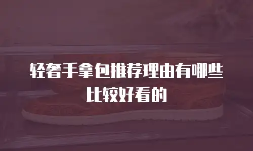 轻奢手拿包推荐理由有哪些比较好看的