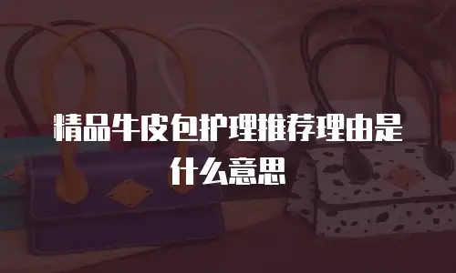 精品牛皮包护理推荐理由是什么意思