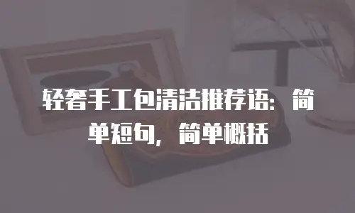 轻奢手工包清洁推荐语：简单短句，简单概括