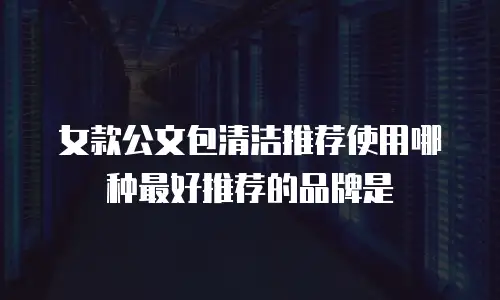 女款公文包清洁推荐使用哪种最好推荐的品牌是
