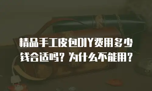 精品手工皮包DIY费用多少钱合适吗？为什么不能用？