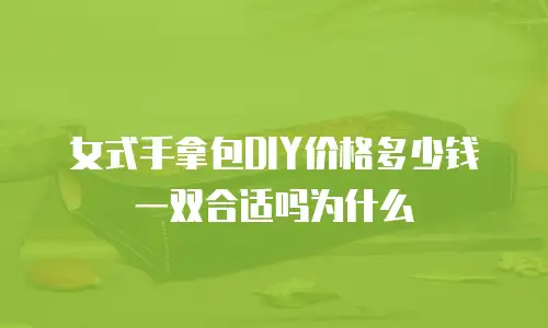 女式手拿包DIY价格多少钱一双合适吗为什么
