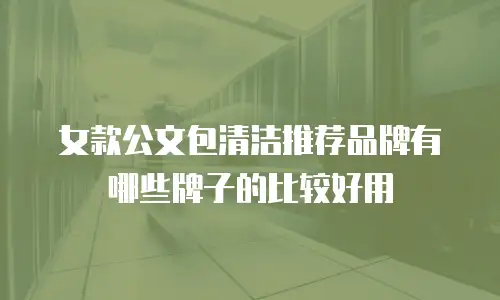 女款公文包清洁推荐品牌有哪些牌子的比较好用