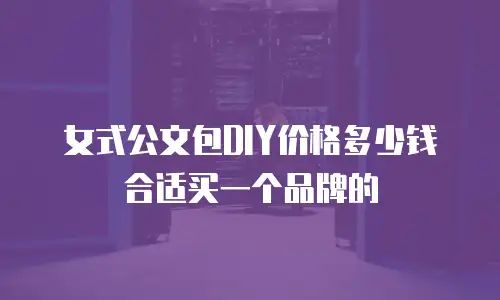 女式公文包DIY价格多少钱合适买一个品牌的