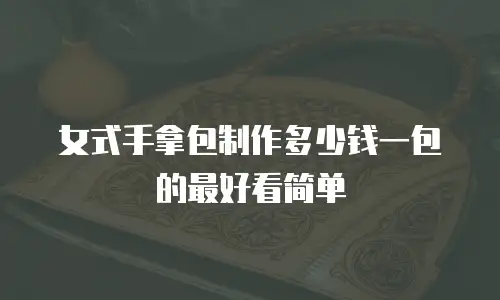 女式手拿包制作多少钱一包的最好看简单
