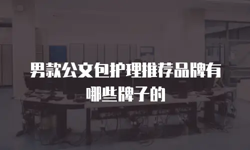 男款公文包护理推荐品牌有哪些牌子的
