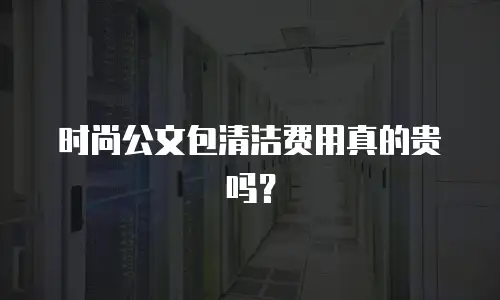 时尚公文包清洁费用真的贵吗？