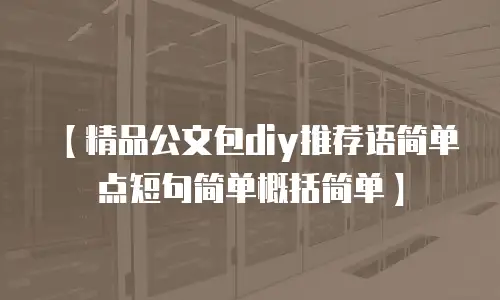 【精品公文包diy推荐语简单点短句简单概括简单】