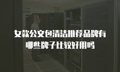 女款公文包清洁推荐品牌有哪些牌子比较好用吗