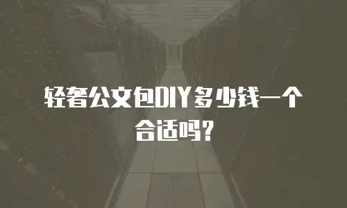 轻奢公文包DIY多少钱一个合适吗？