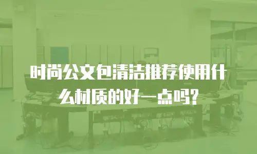 时尚公文包清洁推荐使用什么材质的好一点吗?
