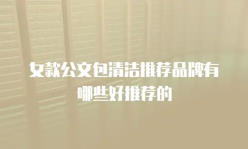 女款公文包清洁推荐品牌有哪些好推荐的