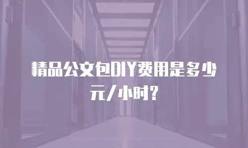 精品公文包DIY费用是多少元/小时？