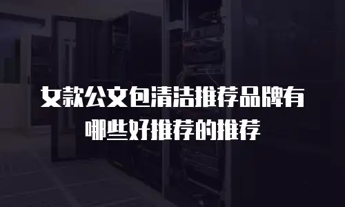 女款公文包清洁推荐品牌有哪些好推荐的推荐