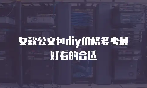 女款公文包diy价格多少最好看的合适