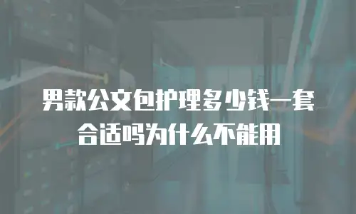男款公文包护理多少钱一套合适吗为什么不能用