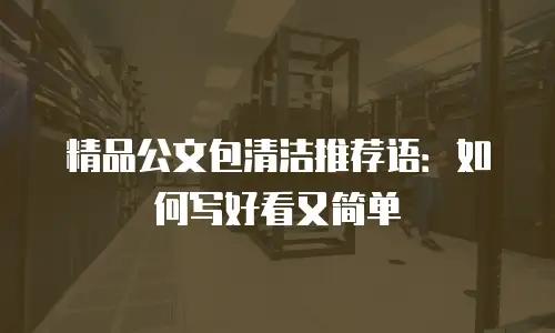 精品公文包清洁推荐语：如何写好看又简单