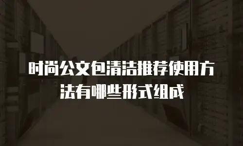 时尚公文包清洁推荐使用方法有哪些形式组成