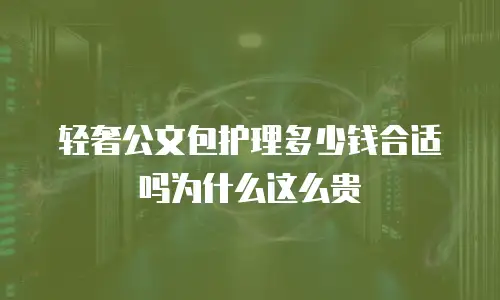 轻奢公文包护理多少钱合适吗为什么这么贵