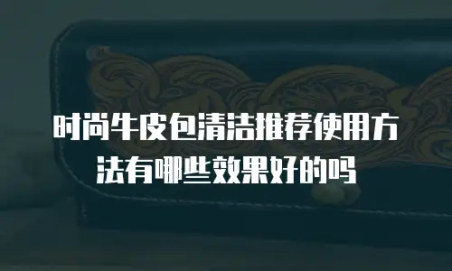 时尚牛皮包清洁推荐使用方法有哪些效果好的吗