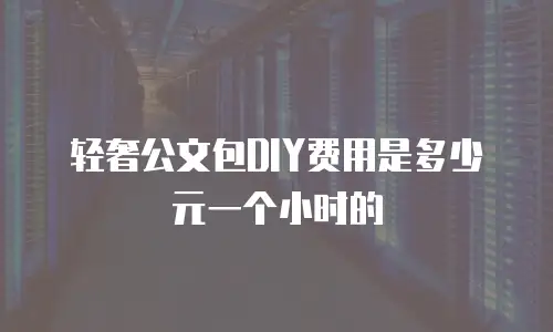 轻奢公文包DIY费用是多少元一个小时的