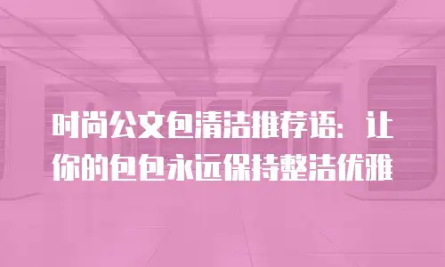 时尚公文包清洁推荐语：让你的包包永远保持整洁优雅