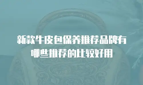 新款牛皮包保养推荐品牌有哪些推荐的比较好用