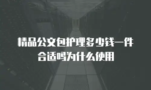 精品公文包护理多少钱一件合适吗为什么使用