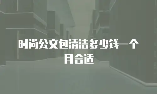 时尚公文包清洁多少钱一个月合适