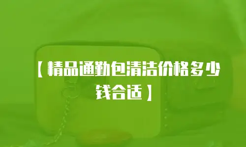 【精品通勤包清洁价格多少钱合适】