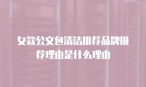 女款公文包清洁推荐品牌推荐理由是什么理由