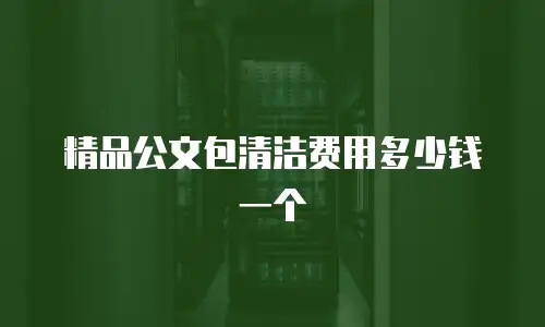 精品公文包清洁费用多少钱一个