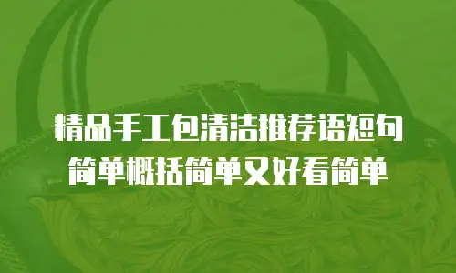 精品手工包清洁推荐语短句简单概括简单又好看简单